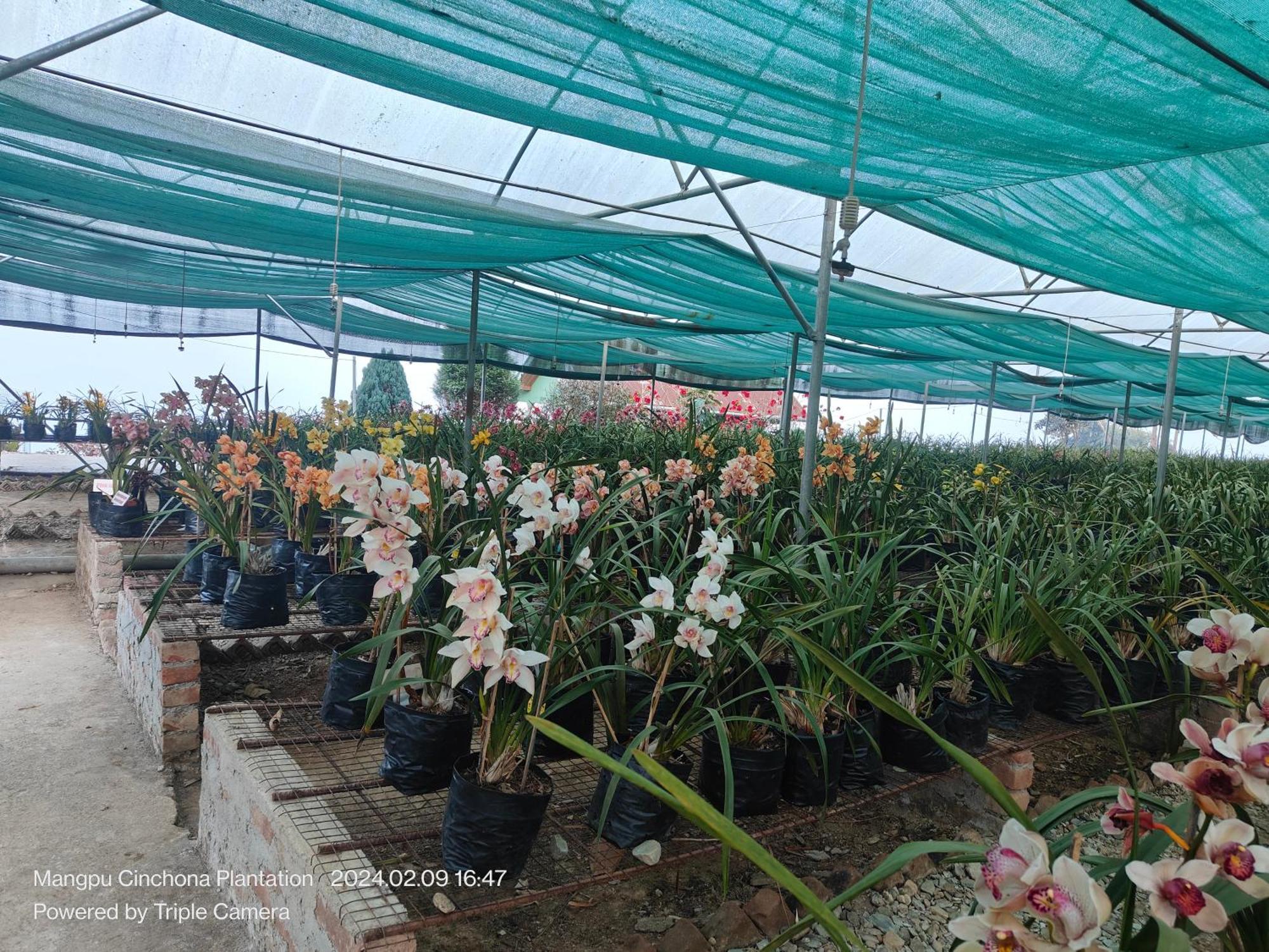 Vilasa Homestay ดาร์จีลิง ภายนอก รูปภาพ
